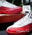 Air Retro Wings Jordan 12 Authentic 0519
